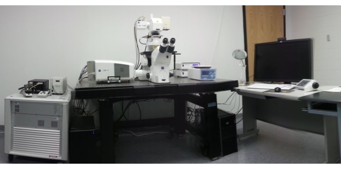Zeiss LSM 710 META Confocal Microscope